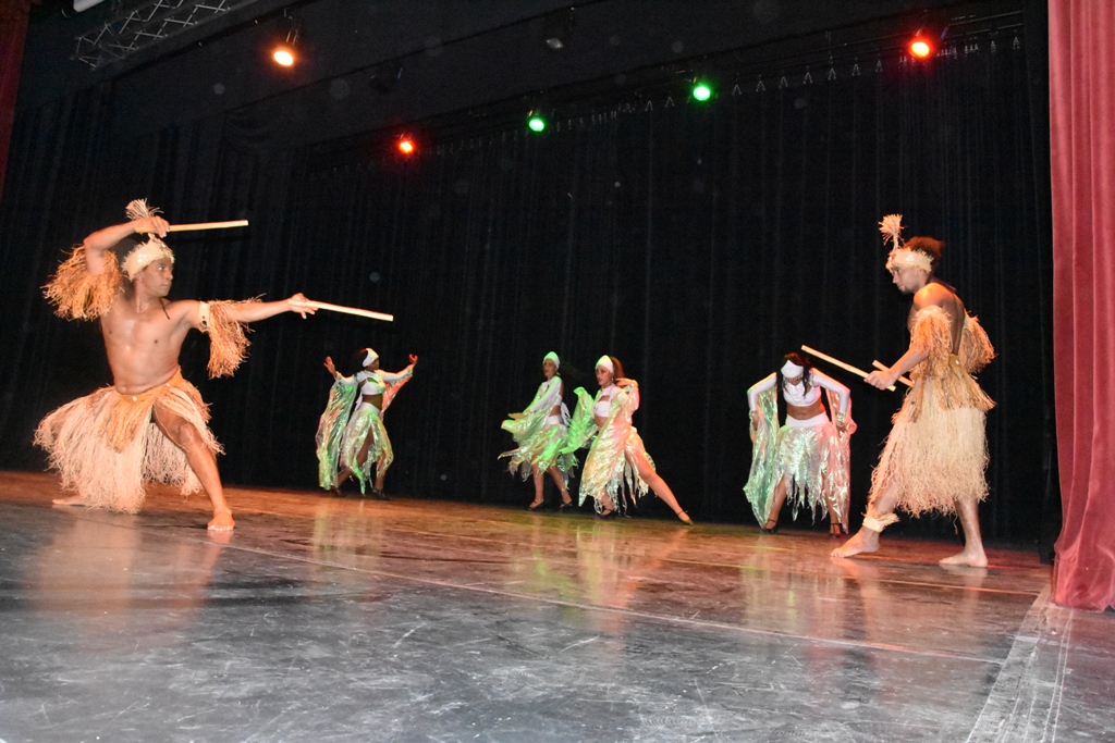 danseurs afro bresilien pour grand evenement